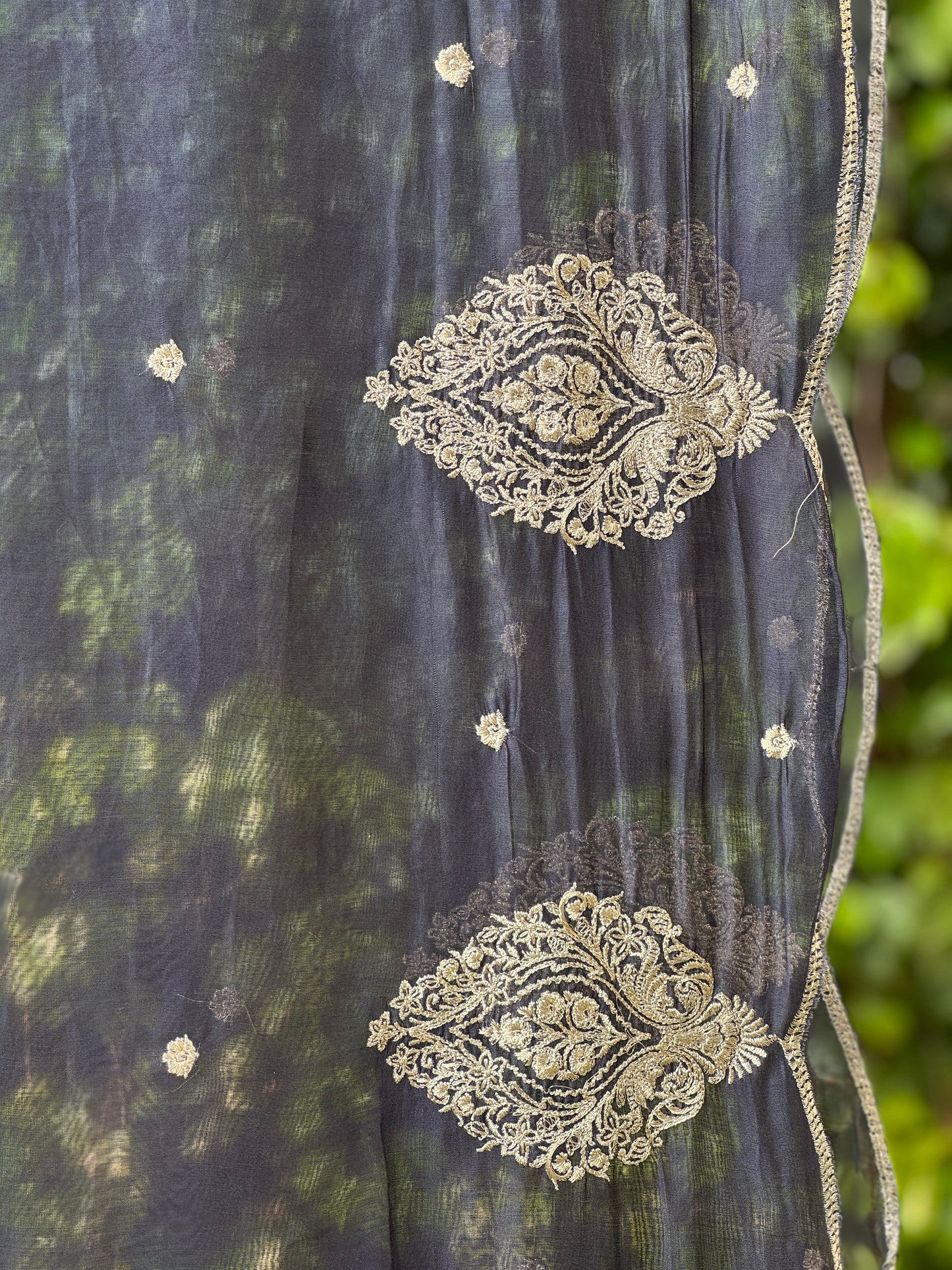 Zari Embroidered Banarasi Silk Chanderi Dupatta
