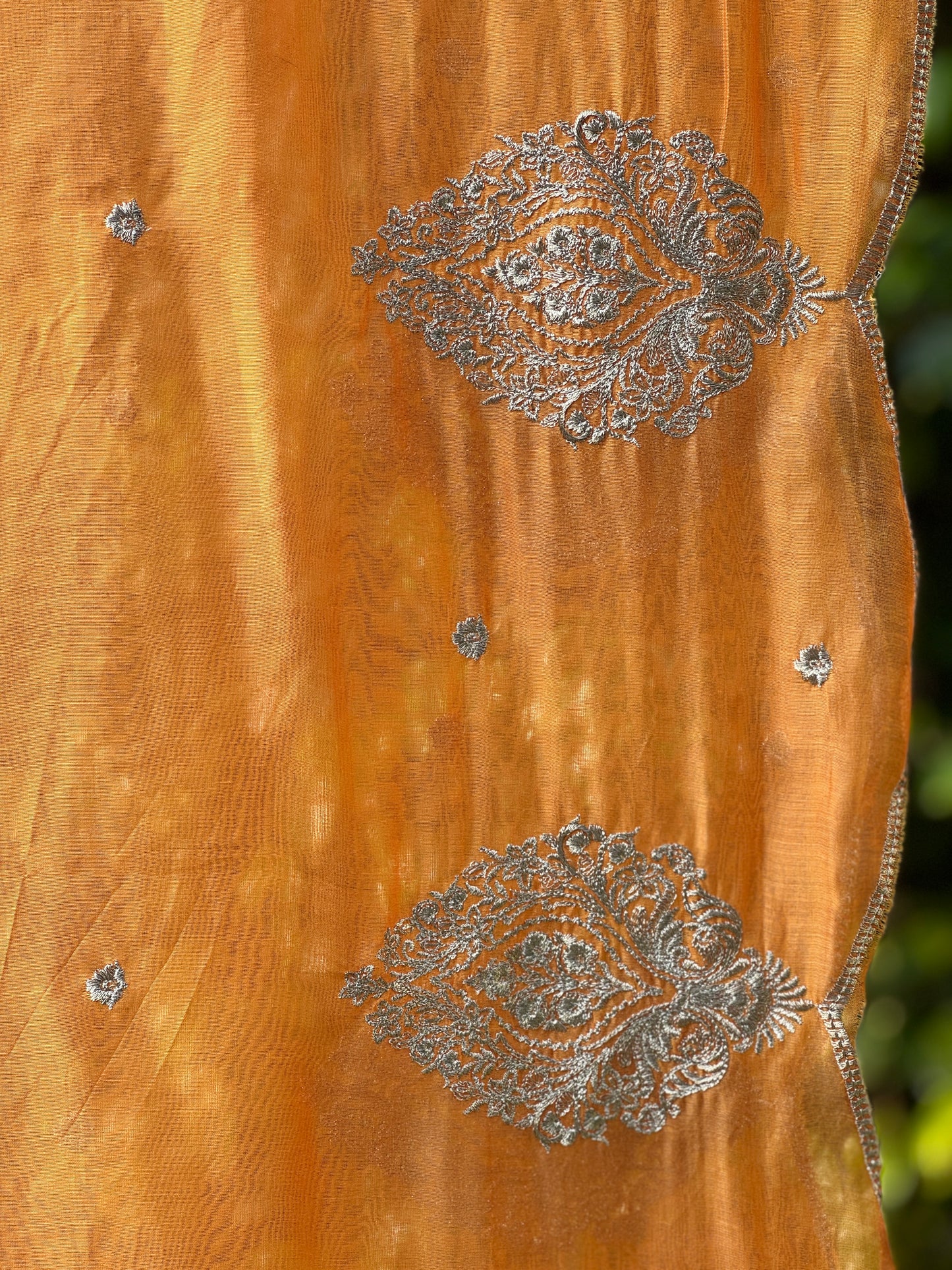 Zari Embroidered Banarasi Silk Chanderi Dupatta