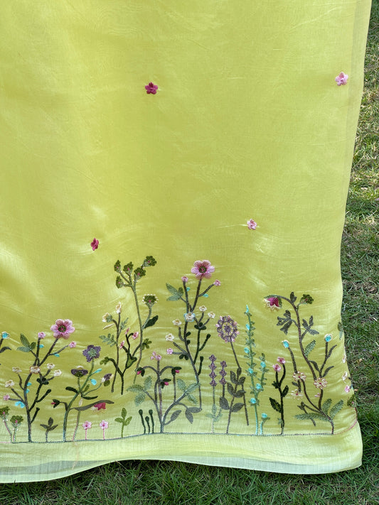 Border Embroidered 40gm Banarasi Chanderi Fabrics