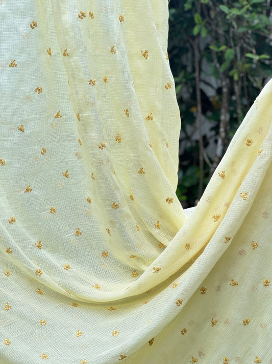 Embroidered Kota Fabric