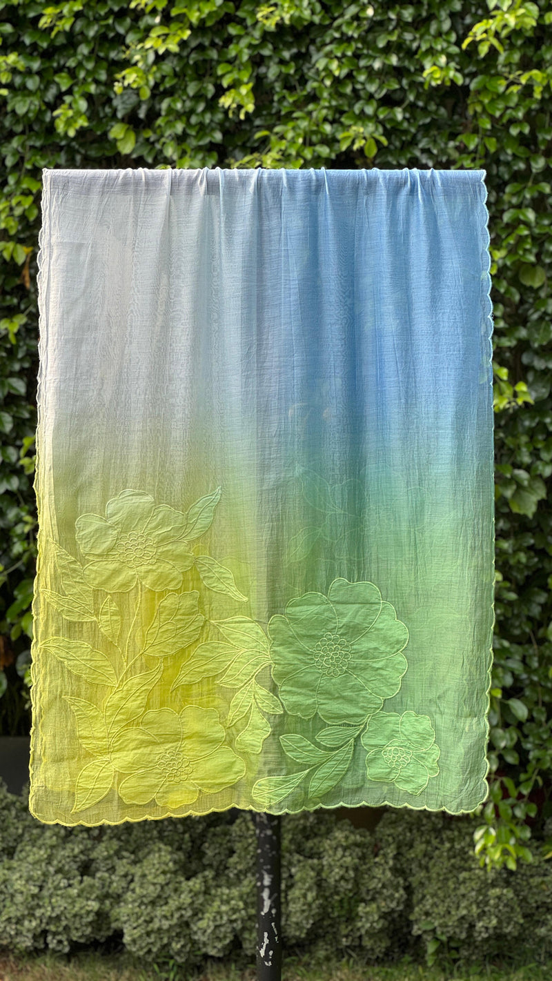 Applique Embroidered 4D Banarasi Silk Chanderi Dupatta