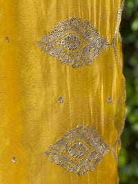 Zari Embroidered Banarasi Silk Chanderi Dupatta