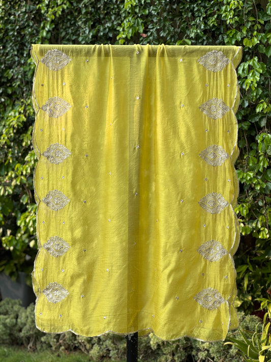 Zari Embroidered Banarasi Silk Chanderi Dupatta