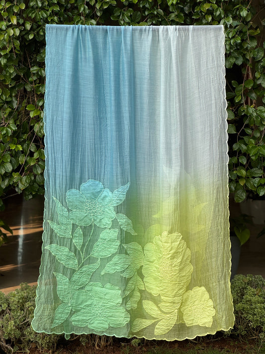 Applique Embroidered 4D Banarasi Silk Chanderi Dupatta