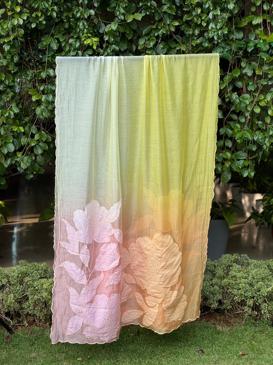 Applique Embroidered 4D Banarasi Silk Chanderi Dupatta