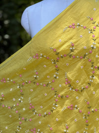 Embroidered 40gm Banarasi Chanderi Fabric