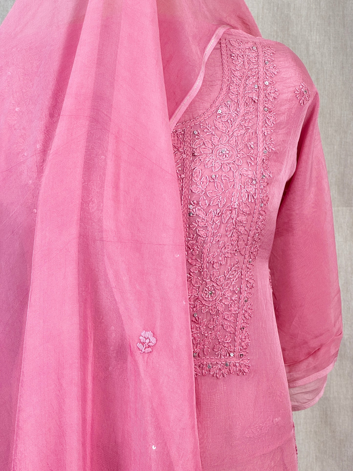 Lucknowi Embroidered Viscose Organza Organza