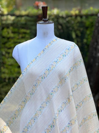 Digital Printed Banarasi Mul Chanderi Fabric