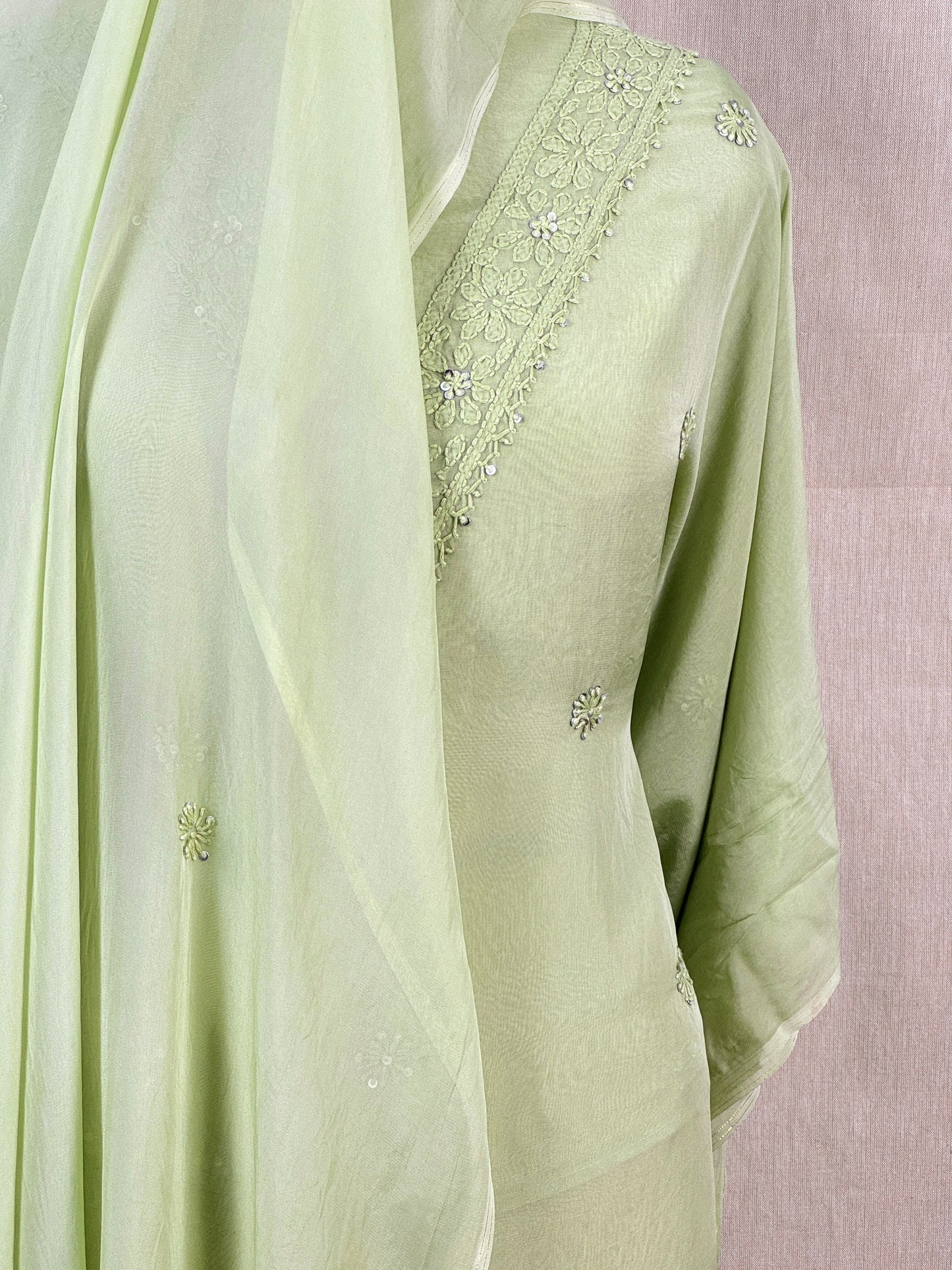 Lucknowi Embroidered Viscose Organza Organza