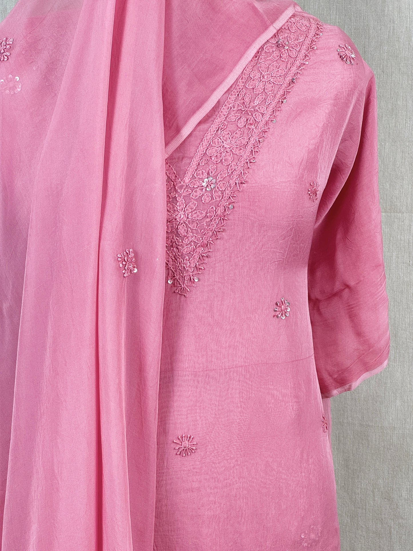 Lucknowi Embroidered Viscose Organza Organza