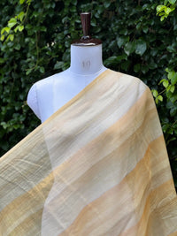 Printed Banarasi Chanderi Fabrics