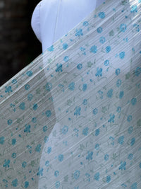 Digital Printed Banarasi Mul Chanderi Fabric