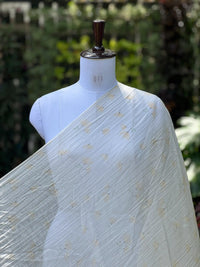 Digital Printed Banarasi Mul Chanderi Fabric