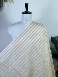 Mul Chanderi Tissue Fabric
