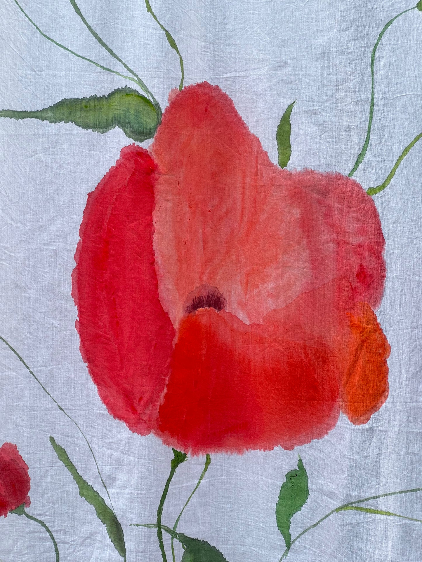 Hand Painted  Mul Cotton Dupatta