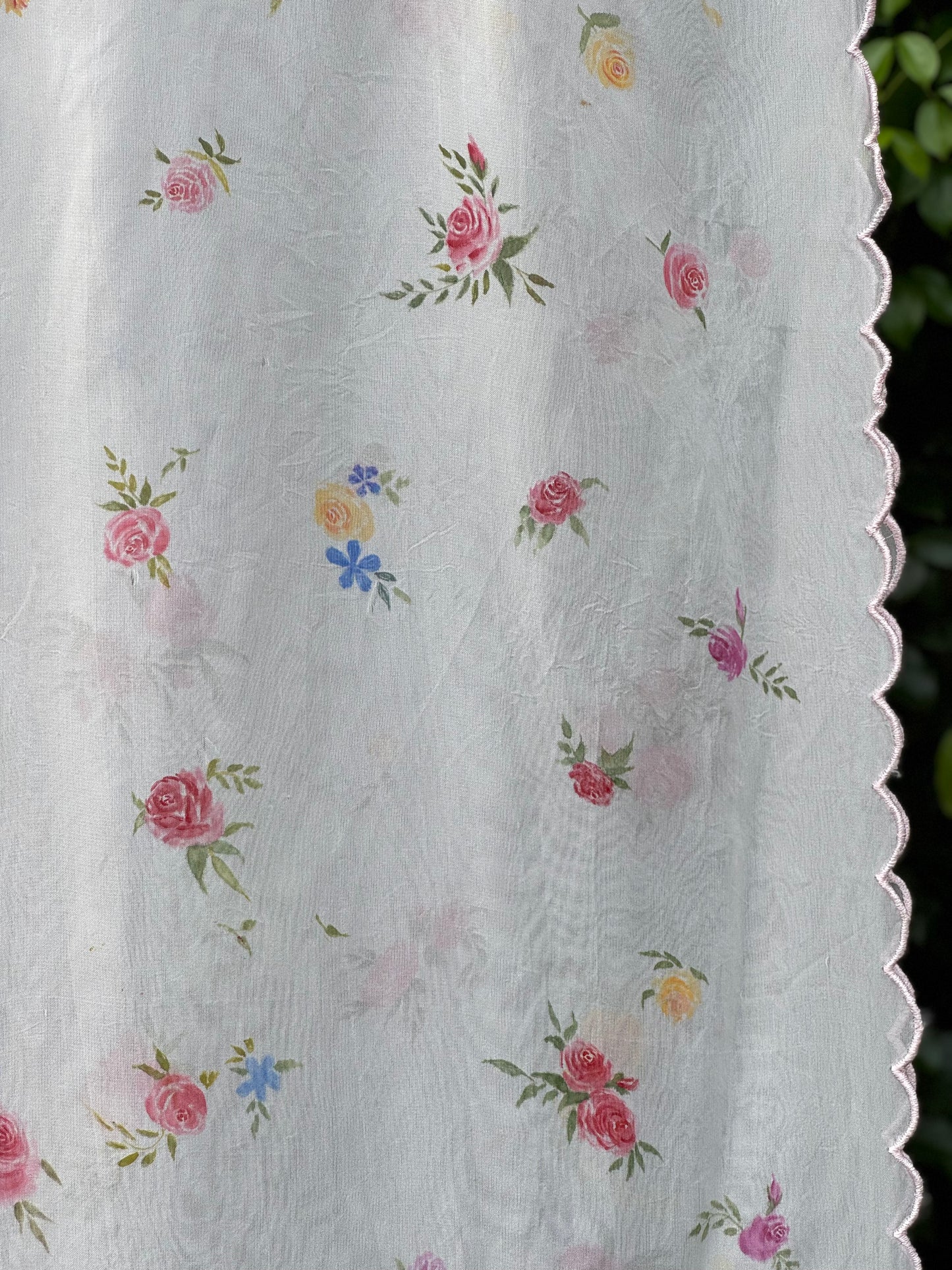 Hand Painted Organza Dupatta