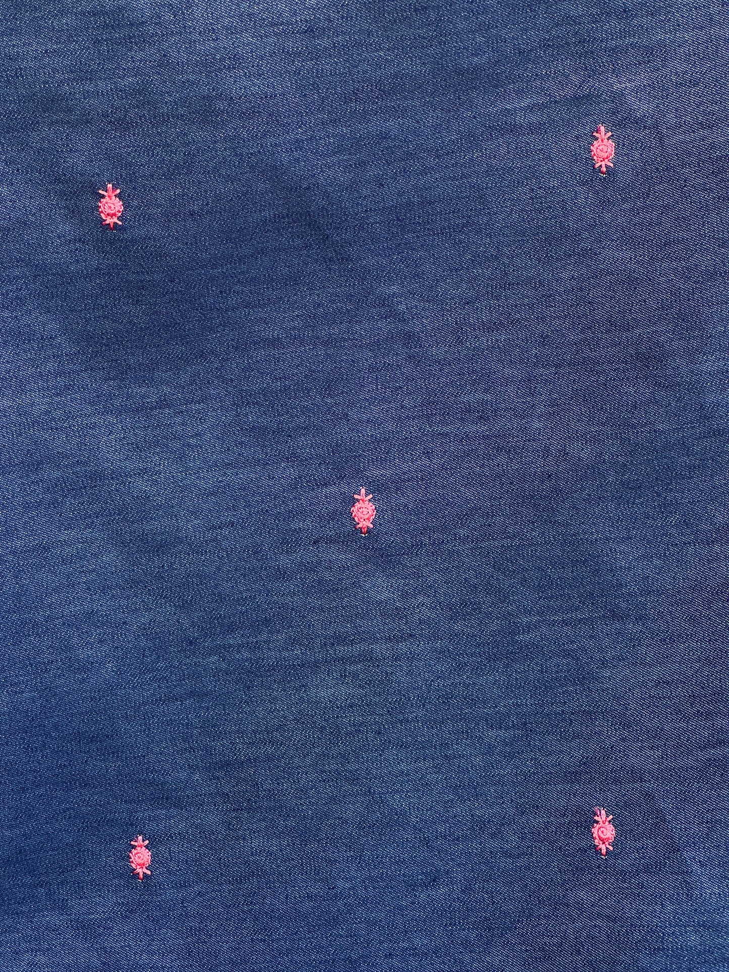 Border Embroidered Denim fabric