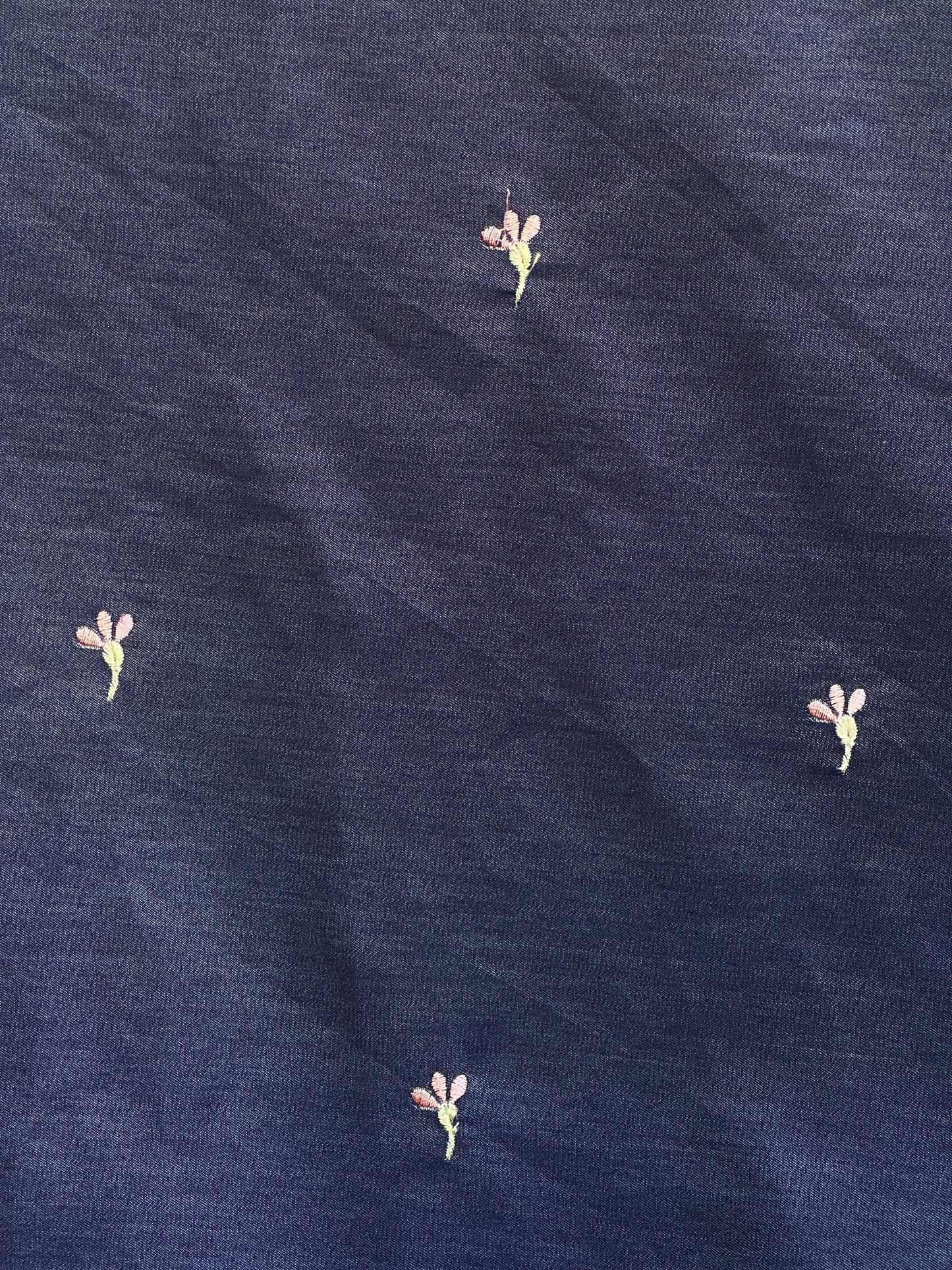 Border Embroidered Denim fabric