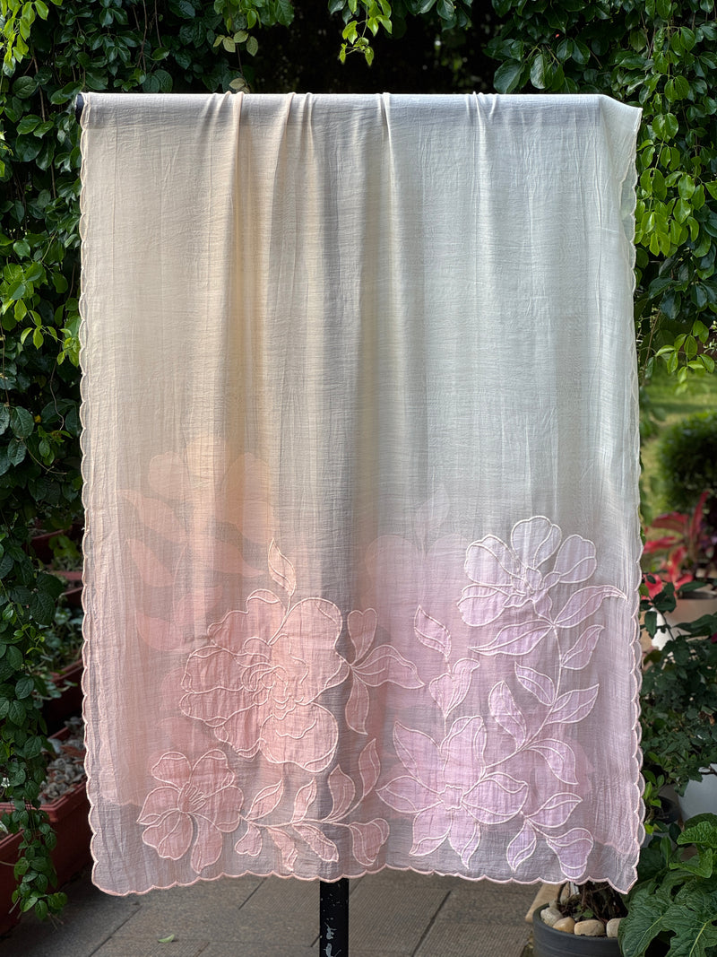 Applique Embroidered 4D Banarasi Silk Chanderi Dupatta