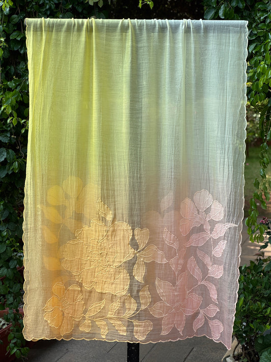 Applique Embroidered 4D Banarasi Silk Chanderi Dupatta