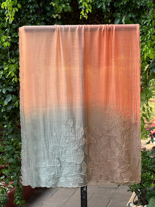 Applique Embroidered 4D Banarasi Silk Chanderi Dupatta