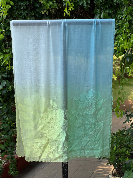 Applique Embroidered 4D Banarasi Silk Chanderi Dupatta