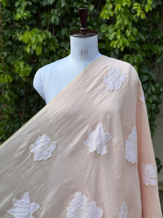 Applique Embroidered 40gm Banarasi Chanderi fabrics