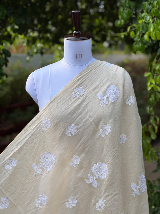 Applique Embroidered 40gm Banarasi Chanderi fabrics