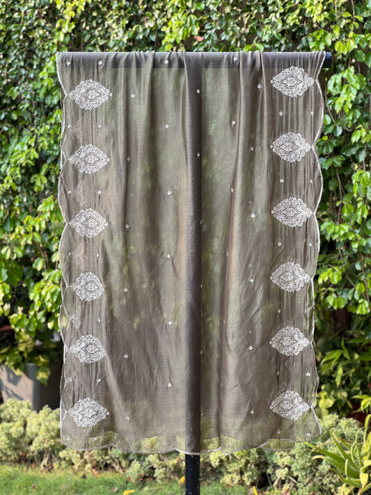 Zari Embroidered Banarasi Silk Chanderi Dupatta